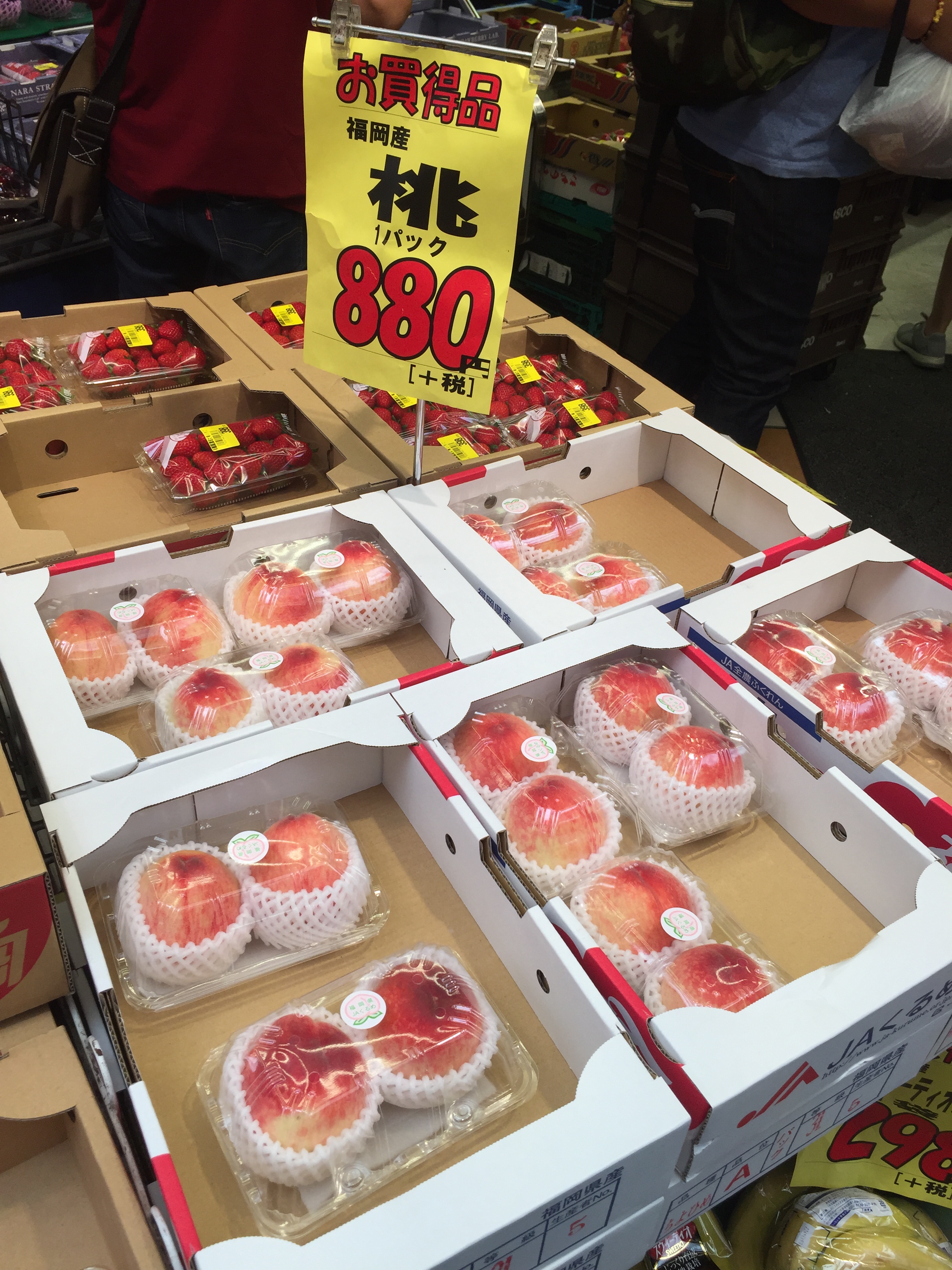 Photo 27-5-2019, 10 58 12 AM