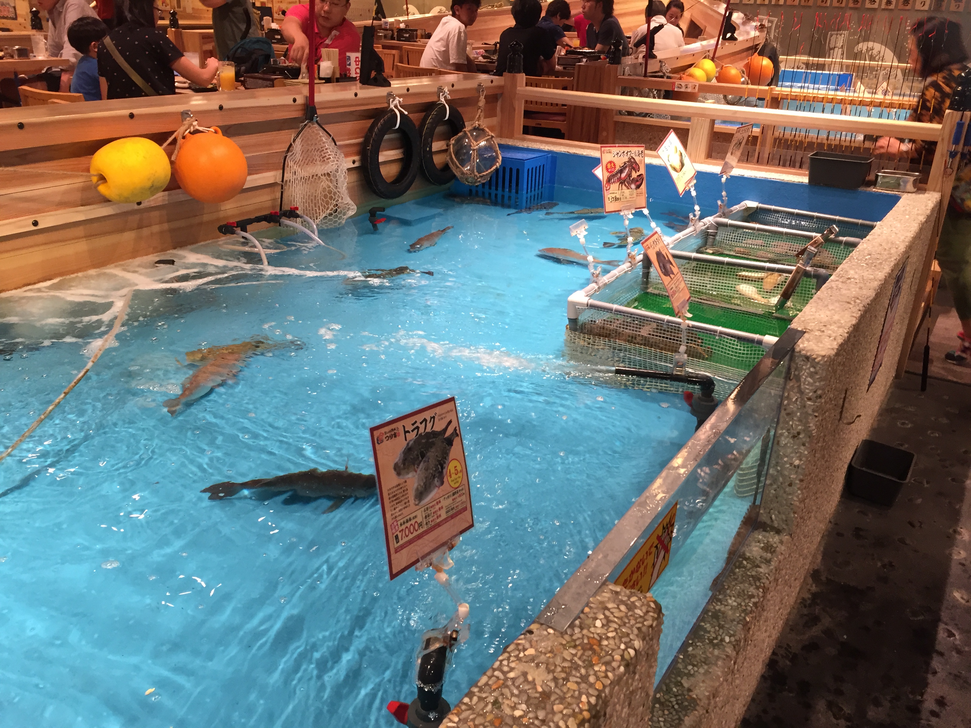 Photo 27-5-2019, 6 27 20 PM