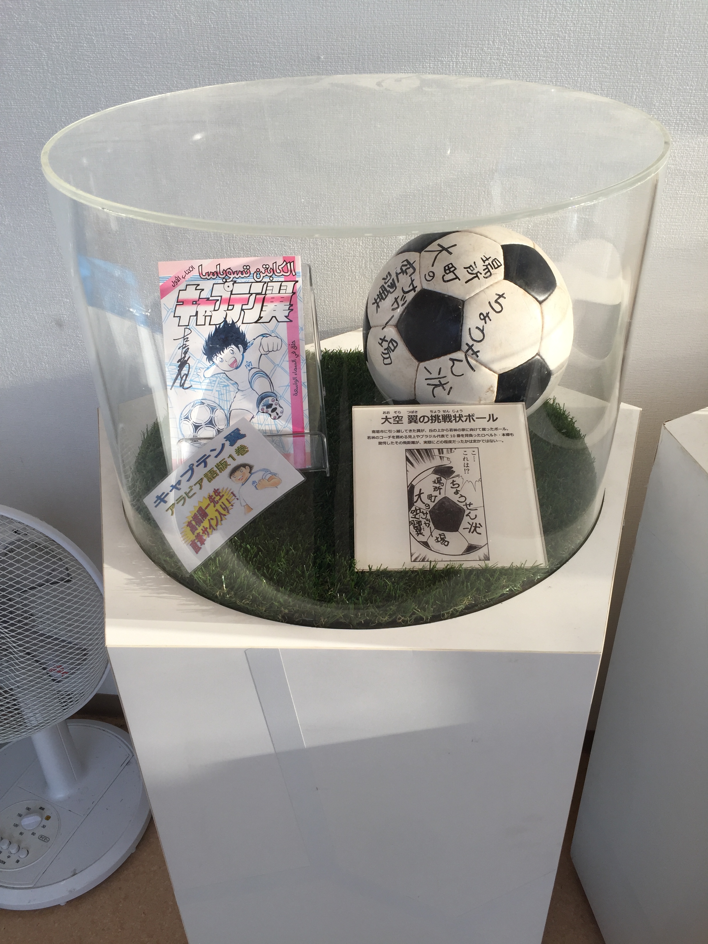 Photo 29-5-2019, 4 40 59 PM