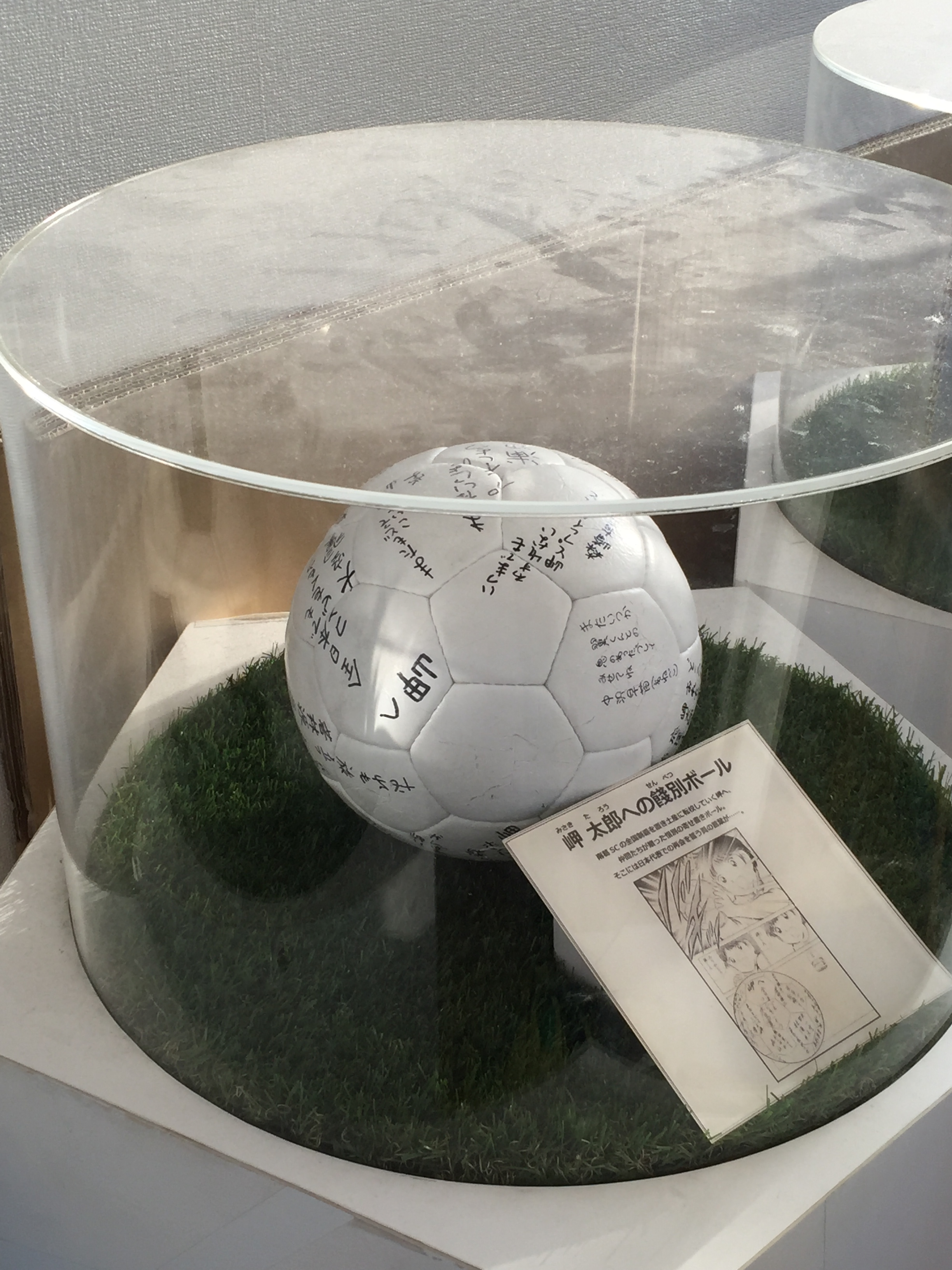 Photo 29-5-2019, 4 41 04 PM