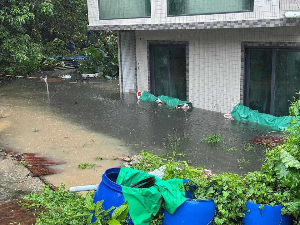 寫日記的自我修行 (2025-07-29)